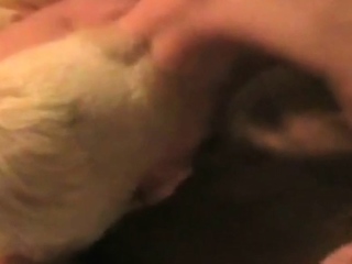 Real german twink analfuck sexy hot stud